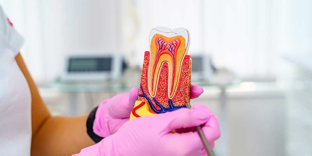 Endodontia (Tratamento de Canal)