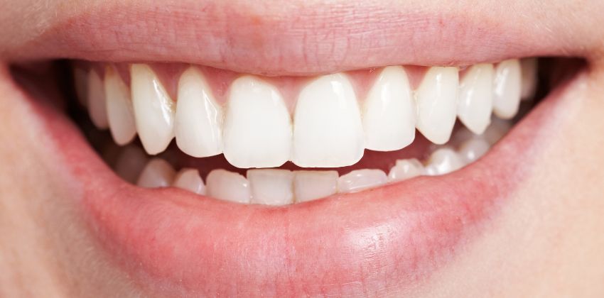 Tipos de dentes e suas funções: guia completo para um sorriso saudável